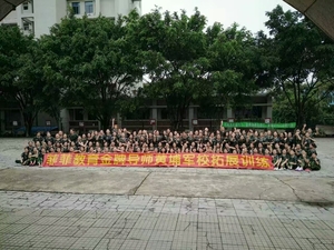 菲菲教育金牌导师